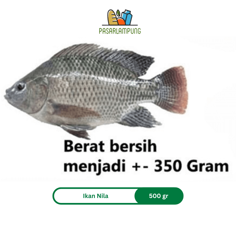 Ikan Nila Segar 450-500 Gr Pasar Lampung