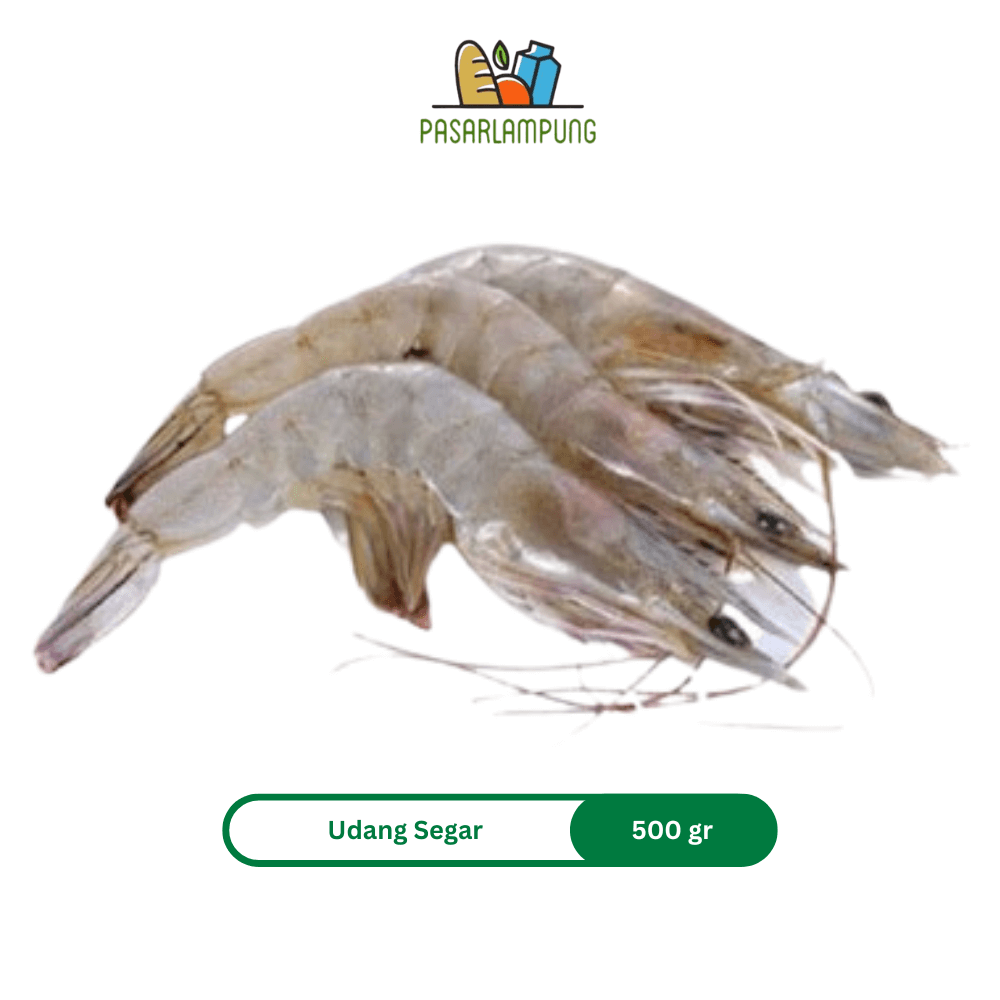 Udang Segar Pasar Lampung