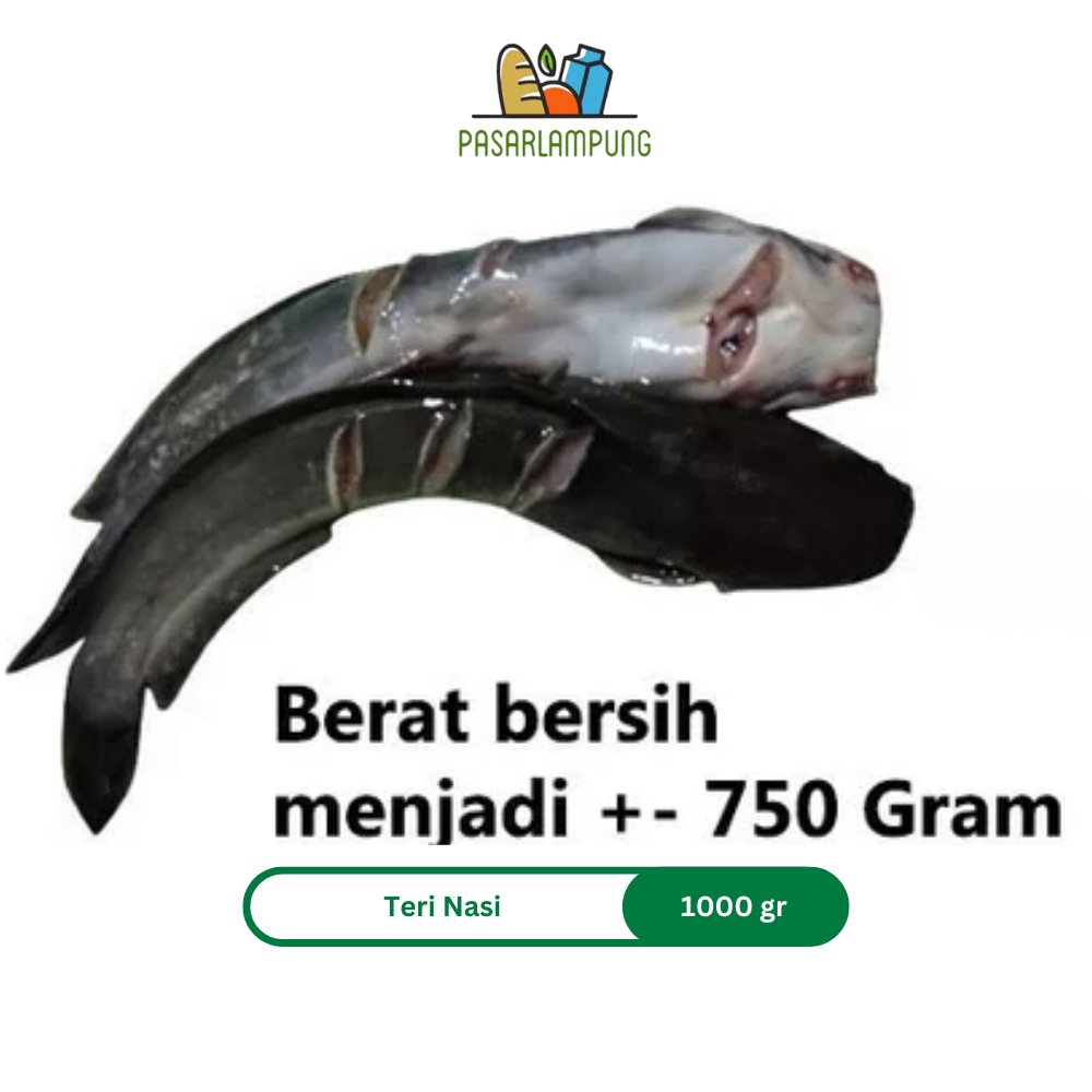 Lele Frozen Beku 1 Kg Pasar Lampung